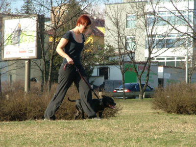 dscf9934.jpg