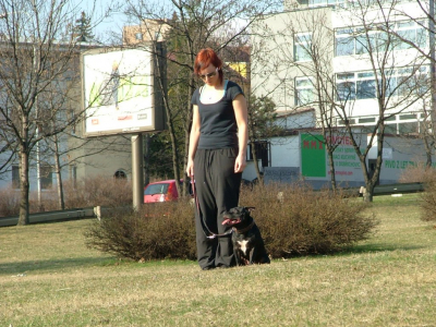 dscf9940.jpg