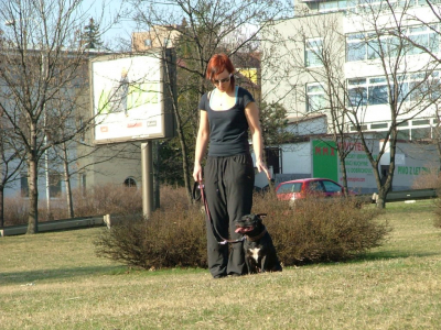 dscf9942.jpg