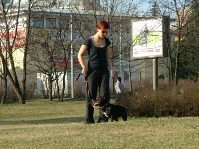 dscf9947.jpg