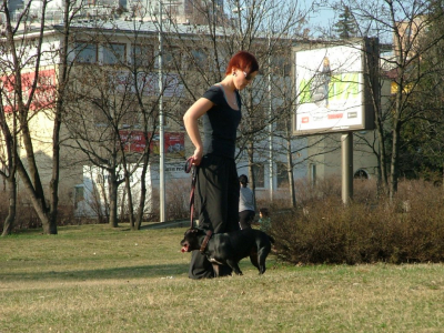 dscf9948.jpg