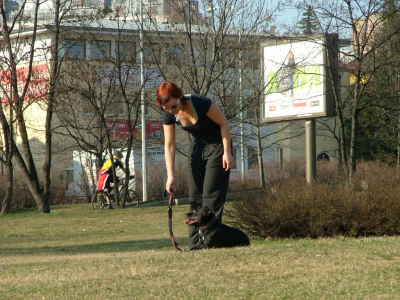 dscf9950.jpg