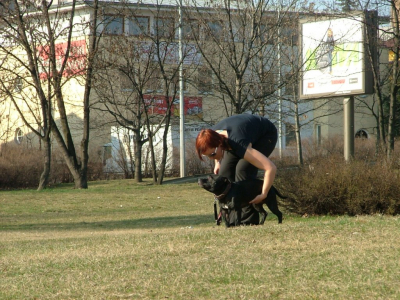 dscf9959.jpg