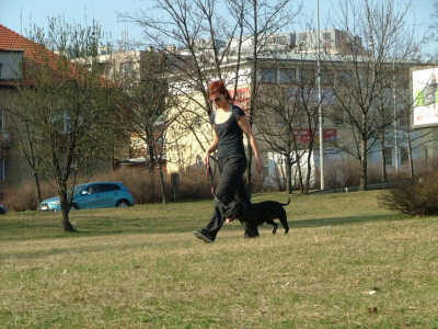 dscf9961.jpg