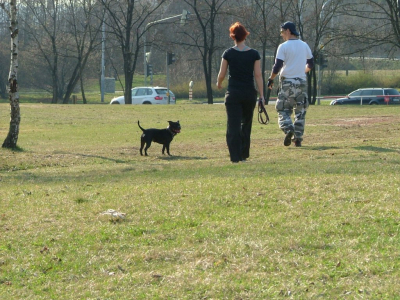 dscf9962.jpg