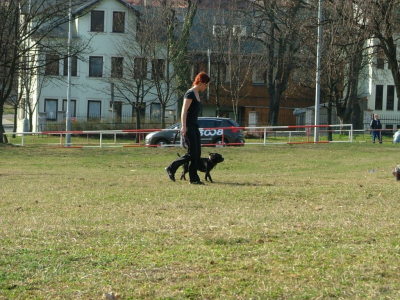 dscf9972.jpg