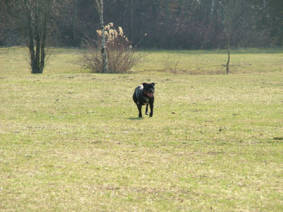 dscf9987.jpg