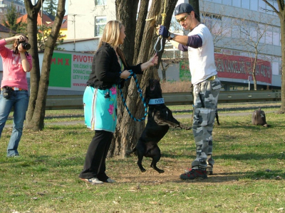 dscf9995.jpg