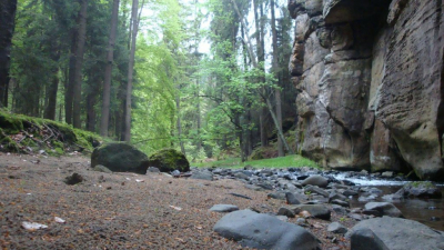 dsc07872.jpg