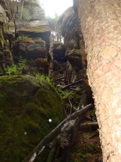 dsc07879.jpg