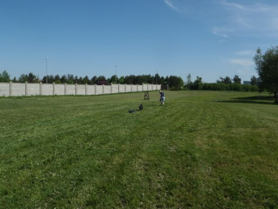 p5193934.jpg