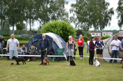 dsc_1360.jpg