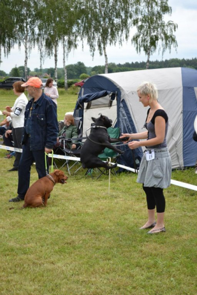 dsc_1380.jpg