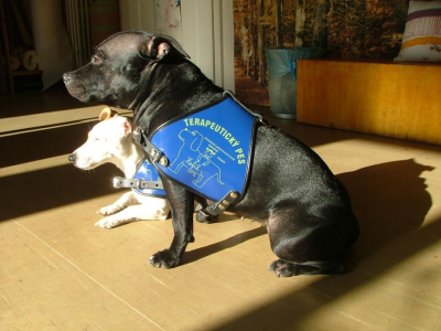 dscf6558.jpg