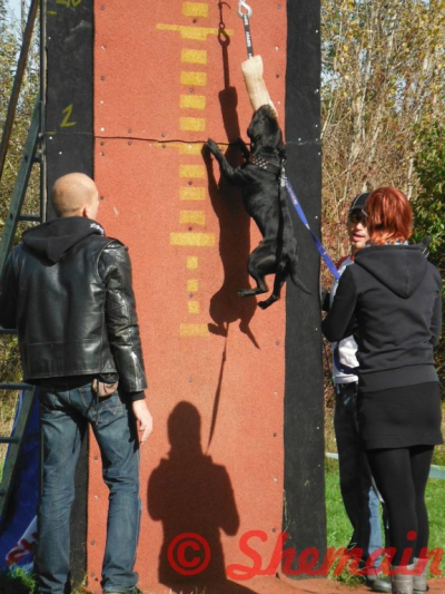 dscf8050.jpg