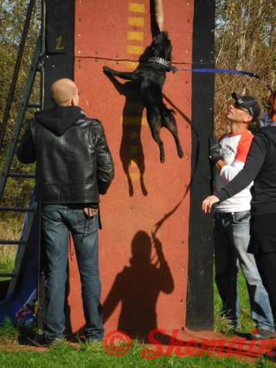 dscf8053.jpg