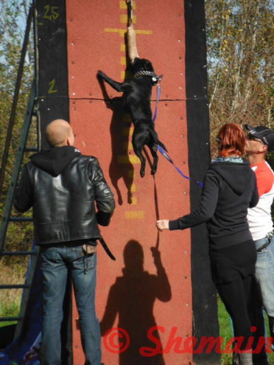 dscf8055.jpg