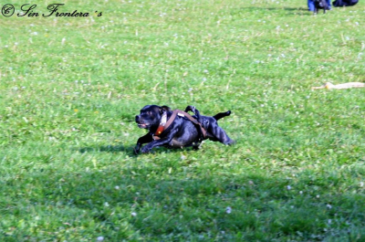 img_3373.jpg
