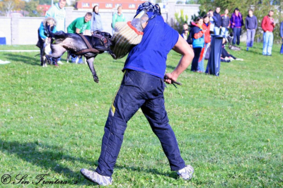 img_3375.jpg