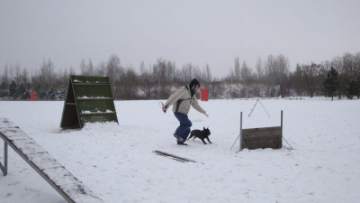 dsc08848.jpg