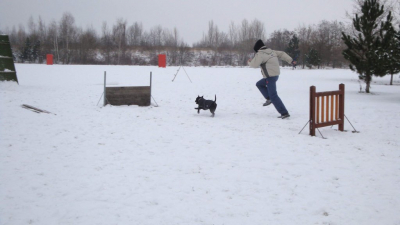 dsc08860.jpg