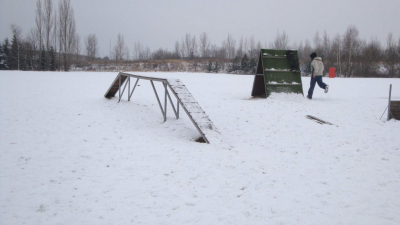 dsc08864.jpg