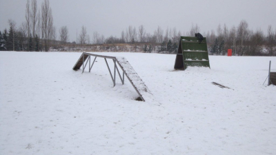 dsc08865.jpg