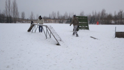 dsc08869.jpg