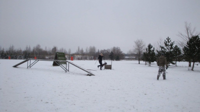dsc08883.jpg