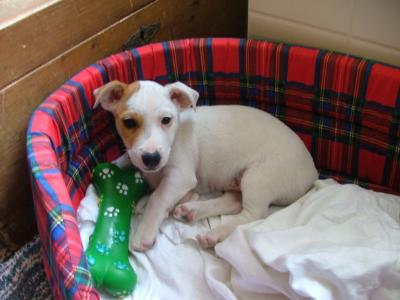 dscf2795.jpg