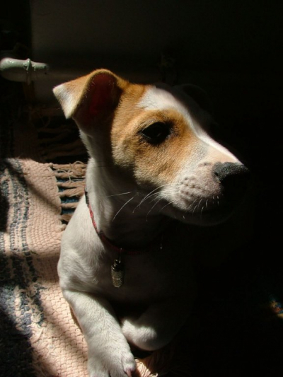 dscf2860.jpg