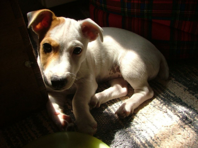 dscf2870.jpg