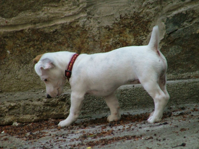 dscf2921.jpg