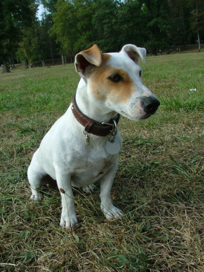 dscf6061.jpg