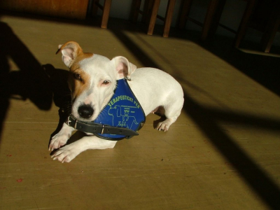 dscf6570.jpg