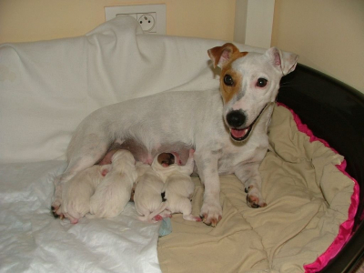dscf5394.jpg